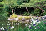 Новости: В центре Алматы разобьют японский сад