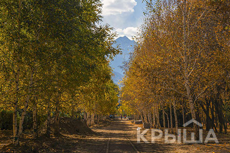 Новости: В Алматы могут разрешить проведение митингов в парке «Южный»