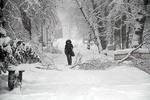 Новости: Алматы и Астану засыпало снегом