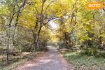 Новости: Осенняя прогулка по роще Баума