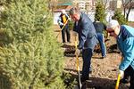 Новости: За день в Алматы высадили 4 000 деревьев (фото)