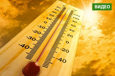 Новости: Что делать при тепловом и солнечном ударе