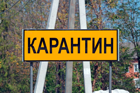 В&nbsp;Актюбинской, Карагандинской и&nbsp;Жамбылской областях усилят карантин