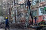 Новости: В Алматы ужесточат ответственность за незаконную вырубку деревьев