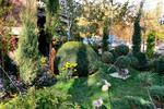 Новости: В Алматы выберут самый зелёный двор