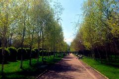 Новости: Парк «Южный» в Алматы вернут в госсобственность