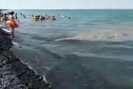 Новости: В месте слива грязной воды в Алаколе в три раза превышено содержание фторидов и хлоридов