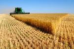 Новости: Земли сельхозназначения оценили в 1.2 трлн тенге