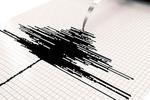 Новости: Google создаст всемирную систему оповещения о землетрясениях
