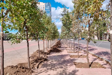 Новости: На старой площади Нур-Султана высадили деревья