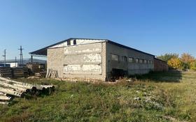здание столярного цеха с полным циклом производства за 60 млн 〒 в Бишкуле
