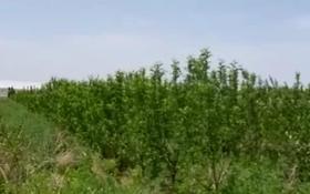 Фазенда и яблоневый сад за 50 млн 〒 в Каскелене