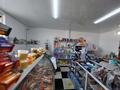 Магазин площадью 240 м², Сыргабекова за 43 млн 〒 в Туздыбастау (Калинино) — фото 2