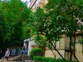 2-комнатная квартира, 52 м², 2/5 этаж, Абая 66 — Ауэзова за 42 млн 〒 в Алматы, Бостандыкский р-н