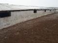 Сдаем базу для скота за 2 млн 〒 в Сарканде — фото 2