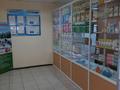Магазин площадью 55 м², Энтузиастов за 33 млн 〒 в Усть-Каменогорске — фото 5