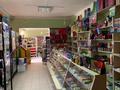 Магазин площадью 100 м², мкр Сайрам 7/1 за 30 млн 〒 в Шымкенте, Енбекшинский р-н — фото 3