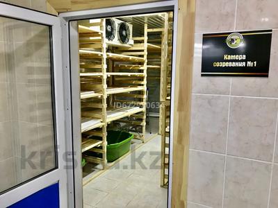 Завод по производству мягких и твердых Сыров за 180 млн 〒 в Кокшетау