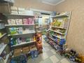 Магазин площадью 54 м², Жангельдина 12г за 28 млн 〒 в Шымкенте, Аль-Фарабийский р-н — фото 8