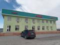 Здание, площадью 447 м², Кызылординская трасса за 230 млн 〒 в Туркестане