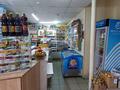 Магазины и бутики • 93.5 м² за 31 млн 〒 в Петропавловске