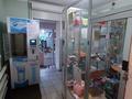 Магазины и бутики • 93.5 м² за 31 млн 〒 в Петропавловске — фото 5