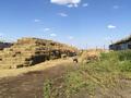 действующую ферму, крестьянское хозяйство за ~ 54.2 млн 〒 в Шахтинске — фото 26