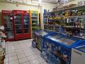 Магазин площадью 87 м², Кабанбай батыра 5 за 37 млн 〒 в Шымкенте, Аль-Фарабийский р-н — фото 3
