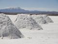 Бизнес по добычи соли за 150 млн 〒 в Туркестанской обл. — фото 2