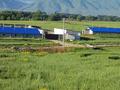 Готовый бизнес сельское хозяйство за 175 млн 〒 в Айтей — фото 3