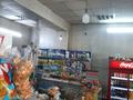 Магазин площадью 46 м², улица Наурызбай батыра 66 — Сарқырама за 40 млн 〒 в Каскелене — фото 5