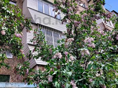 2-комнатная квартира, 54 м², 2/5 этаж, мкр Аксай-2 61 за 31.5 млн 〒 в Алматы, Ауэзовский р-н