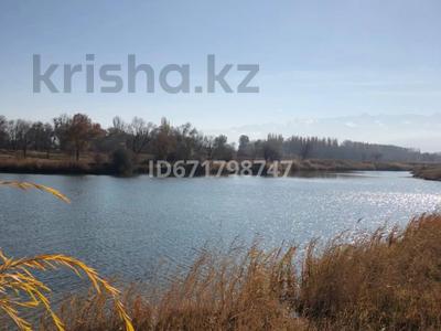 Готовый бизнес, озеро, яблоневый сад за 645 млн 〒 в Ташкенсазе