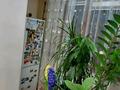 3-комнатная квартира, 80 м², 2/5 этаж, мкр Жетысу-1 54 — Абая Момышулы за 56.5 млн 〒 в Алматы, Ауэзовский р-н — фото 19