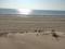 Пляж на Северном побережье Капчагая за 1 млн 〒 в Конаеве (Капчагай)
