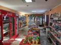 Магазины и бутики • 100 м² за 50 млн 〒 в Алматы, Турксибский р-н — фото 4