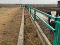 Ферма с зоной отдыха за 250 млн 〒 в Шымкенте, Аль-Фарабийский р-н — фото 14