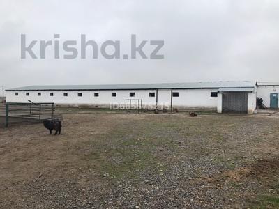 Ферма с зоной отдыха за 250 млн 〒 в Шымкенте, Аль-Фарабийский р-н